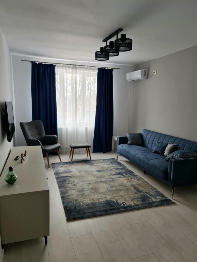 Dolphin Apartment Near Neversea Beach コンスタンツァ エクステリア 写真